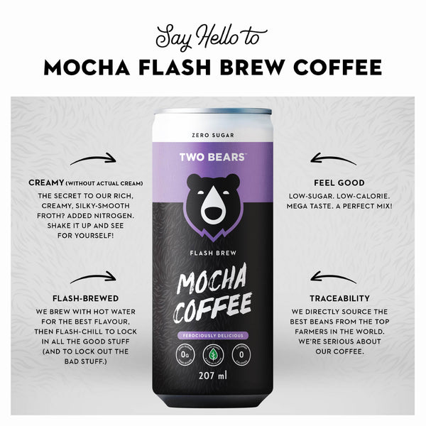 Mocha Flash Brew Coffee